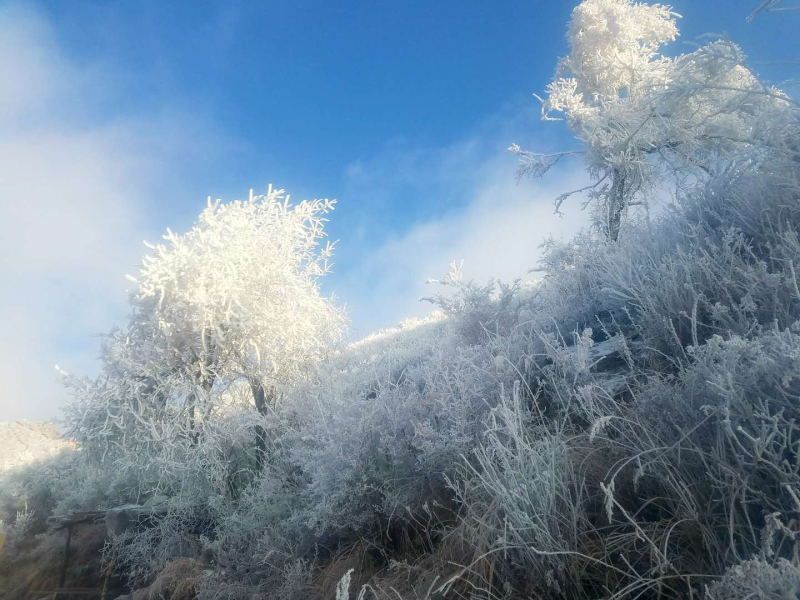 冬季奥运会项目有哪些在石家庄(冬季滑雪去哪？2020年版石家庄最新冰雪旅游地图来了！赶快收藏)