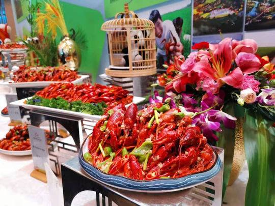 吃货福利来啦!隆昌首届小龙虾美食文化旅游节新闻发布会在蓉举行