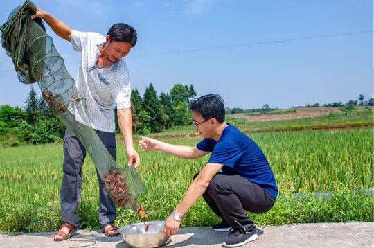 吃货福利来啦!隆昌首届小龙虾美食文化旅游节新闻发布会在蓉举行