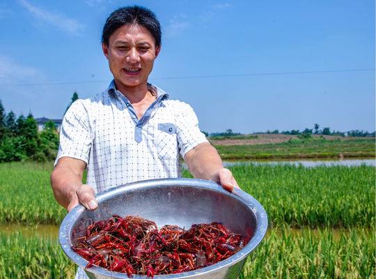 吃货福利来啦!隆昌首届小龙虾美食文化旅游节新闻发布会在蓉举行