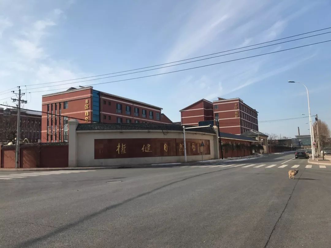 传销“帝国”权健坍塌一年后，“火疗一条街”风中寂寥