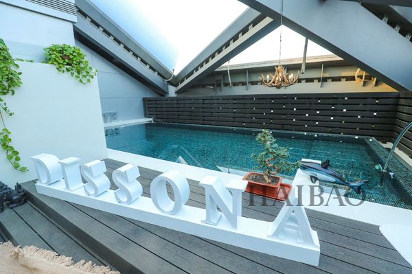 DISSONA （迪桑娜）2020春夏新品：时髦创新、回顾经典