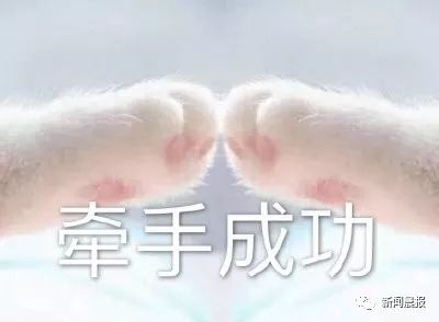 清华北大一个操作冲上热搜！网友：说好的相爱相杀，你们却联姻了