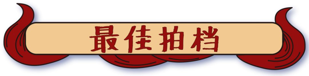 东莞首家冬日进补神器「金龟煲」，每晚都座无虚席...