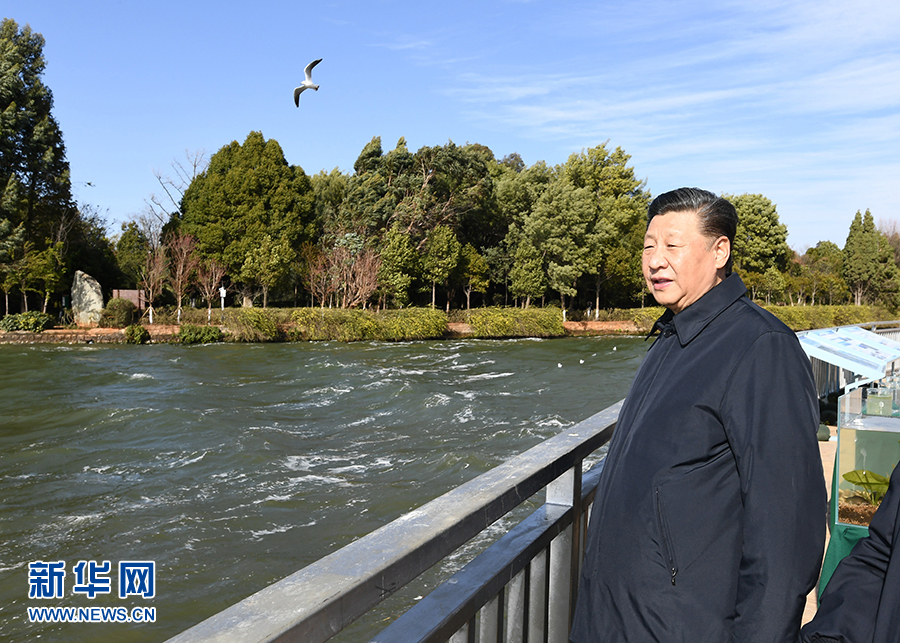 云贵高原最大的湖泊是（让滇池重现高原明珠风采）