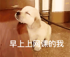 为了让你宅在家里，现在你能免费使用这些付费资源