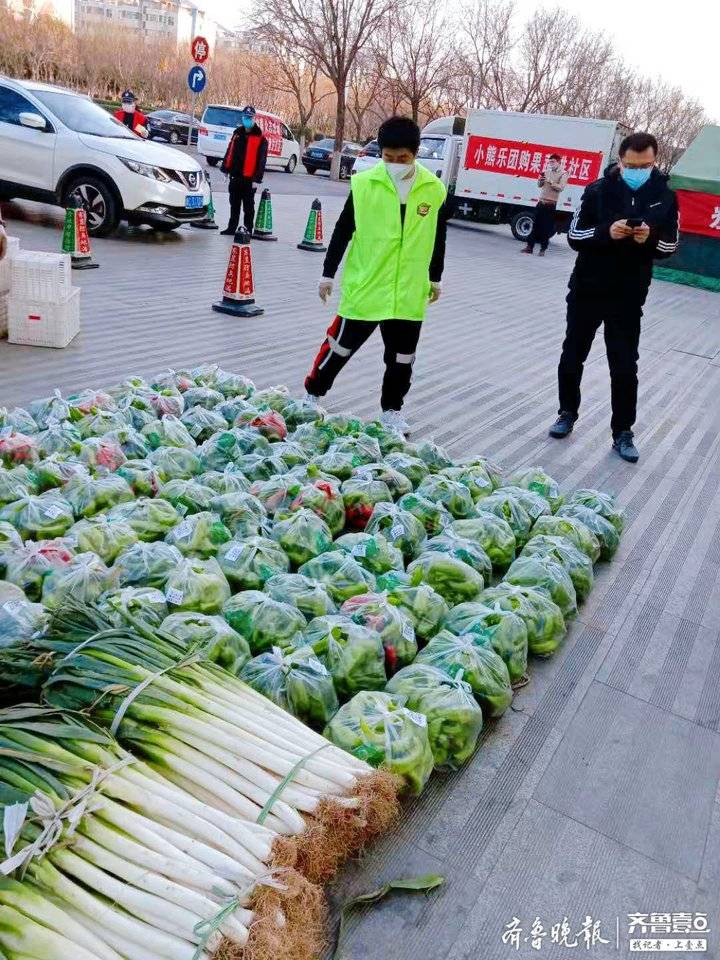 免费赠送3吨蔬菜！抗击疫情，淄博小熊乐团购在行动