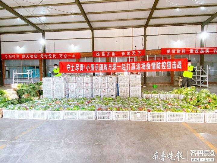免费赠送3吨蔬菜！抗击疫情，淄博小熊乐团购在行动