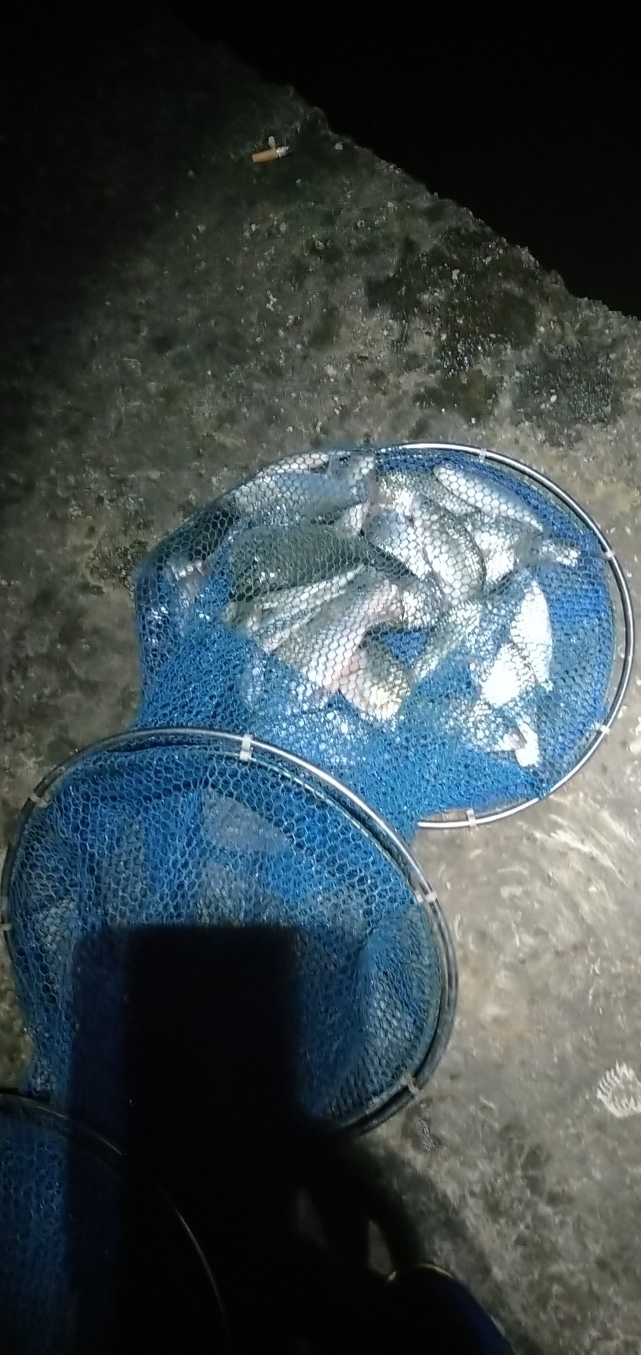春季釣魚技巧,春季釣魚技巧大全