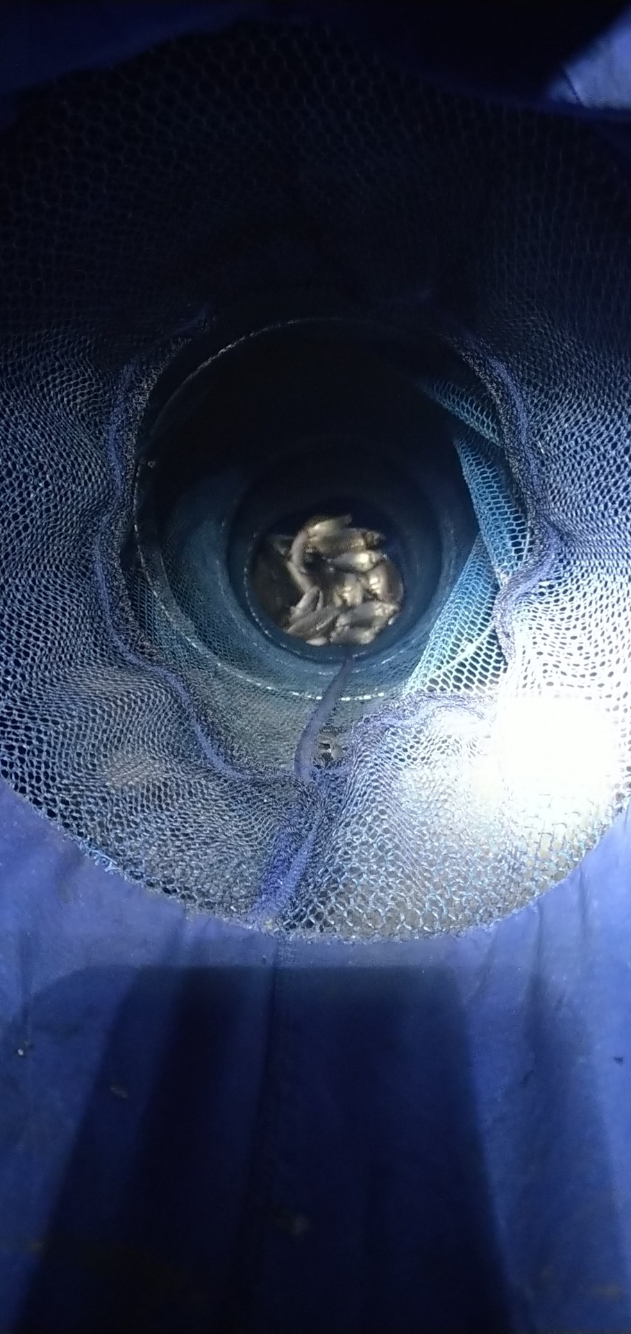 春季釣魚技巧,春季釣魚技巧大全