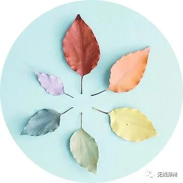 邳州这位副校长又火了！再出新作《此生无悔入华夏》