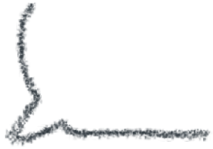 喜报！一中、养正、季延