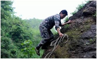 它是“天然青霉素”，每天一杯，慢慢地体验大自然的神奇