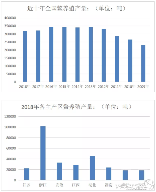 山西甲鱼养殖基地哪里有(今天，我为甲鱼正名)