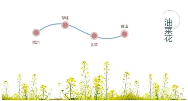 百花等你来！四川2020年第一期春季赏花地图发布