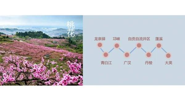 百花等你来！四川2020年第一期春季赏花地图发布