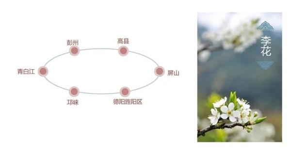 百花等你来！四川2020年第一期春季赏花地图发布