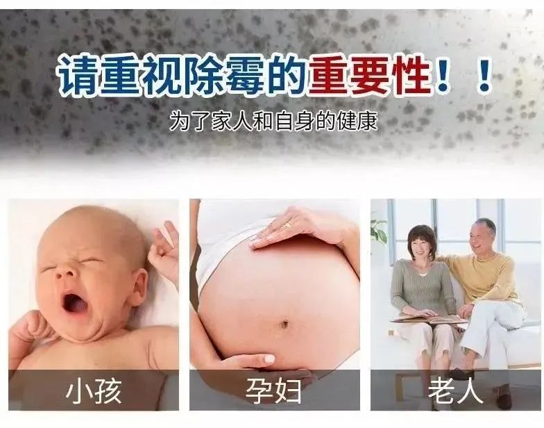 家里墙壁发霉？偷偷教你一招，比重刷还干净！