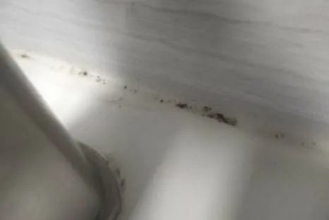 家里墙壁发霉？偷偷教你一招，比重刷还干净！