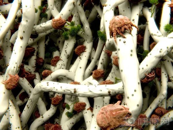 湿疹、皮肤痒擦什么好得快？常见皮肤病「外用药膏」指南全在这！
