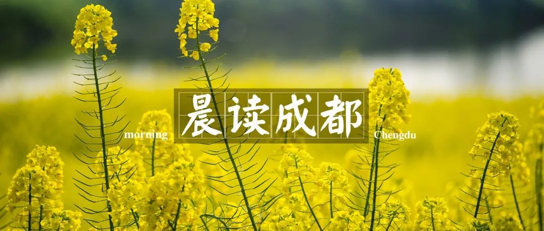 晨读成都 | 23日起，成都市人才服务中心现场招聘会恢复举行