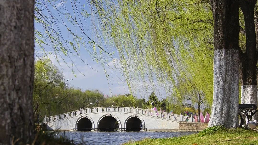 飞花令：上百句含“春”的经典诗词，赶紧为孩子收藏起来