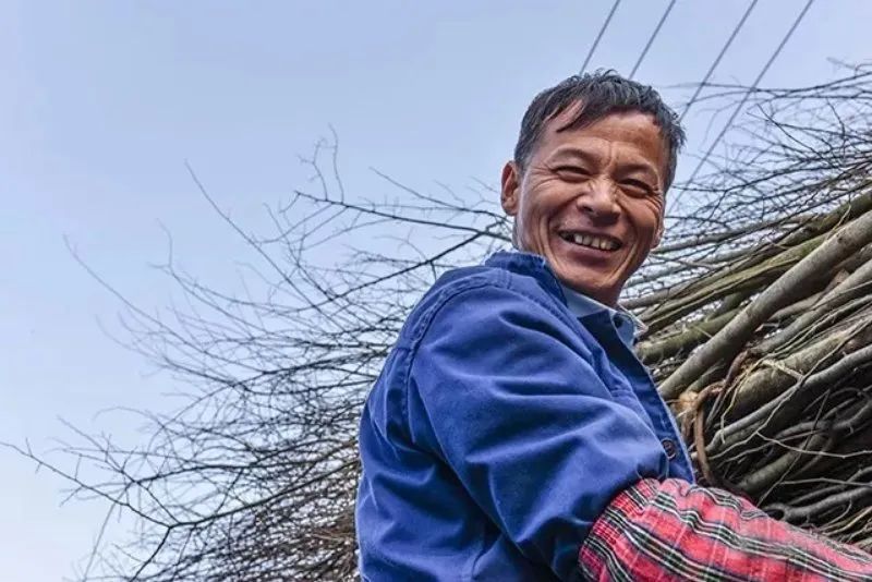 只有清明的一盏野茶，才是一盏春风