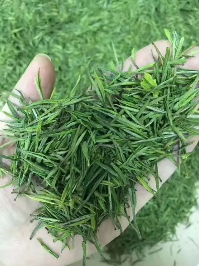 只有清明的一盏野茶，才是一盏春风