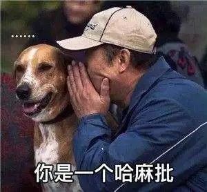 我们整理了全国的方言表情包，北京腔拽、四川话莽，最狠还是广东话…