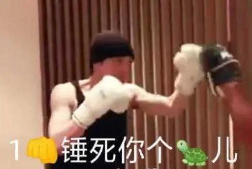 我们整理了全国的方言表情包，北京腔拽、四川话莽，最狠还是广东话…