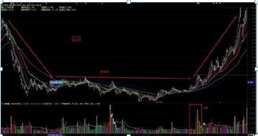 北大女博士罕见发声：中国石油再创历史新低，从48元一直跌到4.6元左右，能否继续“越跌越买”？