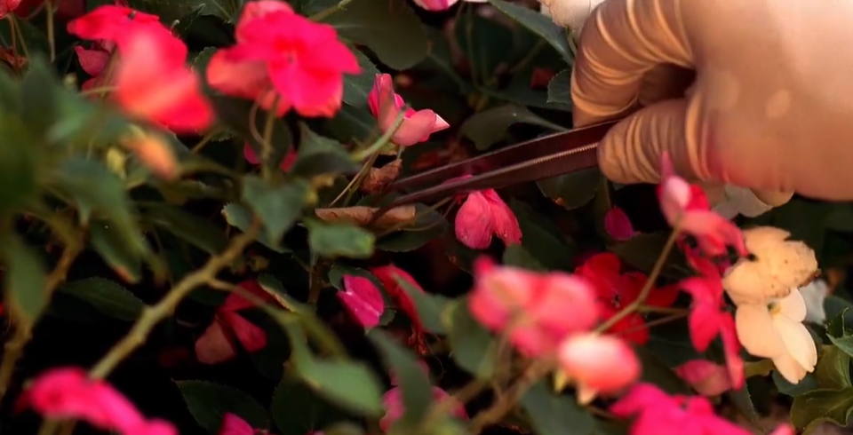 温情解说的《犯罪现场调查》：是教科书级别的经典电视剧，每次都采访真实事件