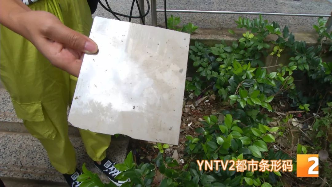 天降瓷砖被砸成偏瘫！她把整栋楼的业主都告了......