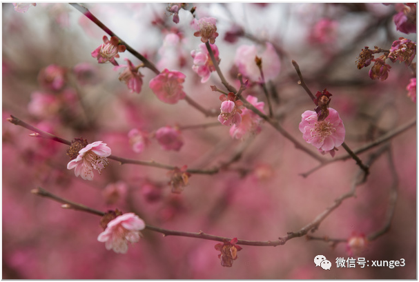 低分考生注意！进国家电网，这8所大学机会最大！每年进校招人