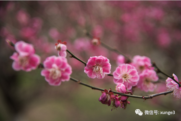 低分考生注意！进国家电网，这8所大学机会最大！每年进校招人