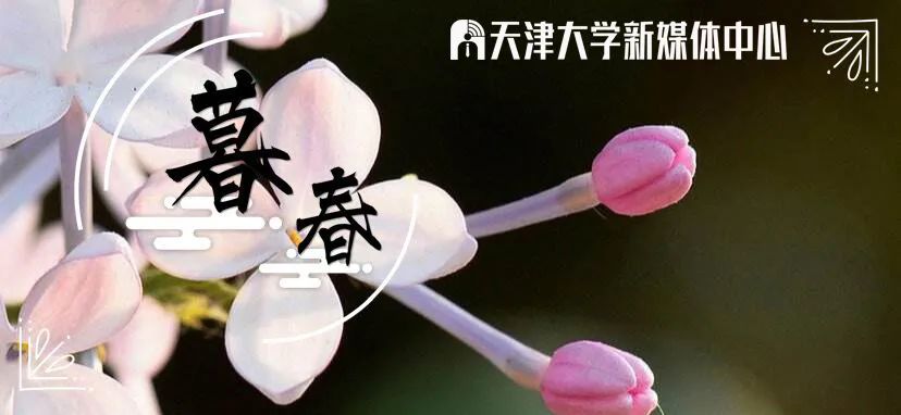天津大学2020年博士研究生招生远程多元考核方案（含工程博士）