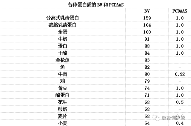 別看都是蛋白質，但效果真的大不一樣