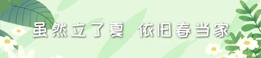 2019年農(nóng)機(jī)暢銷(xiāo)榜：鏵式犁