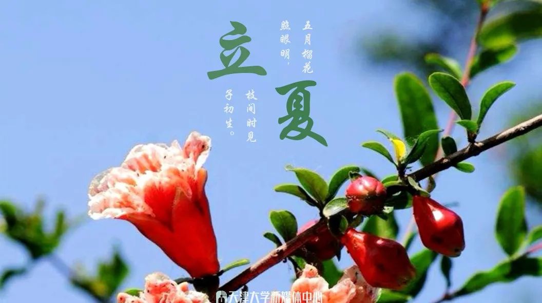 天大人在两会！