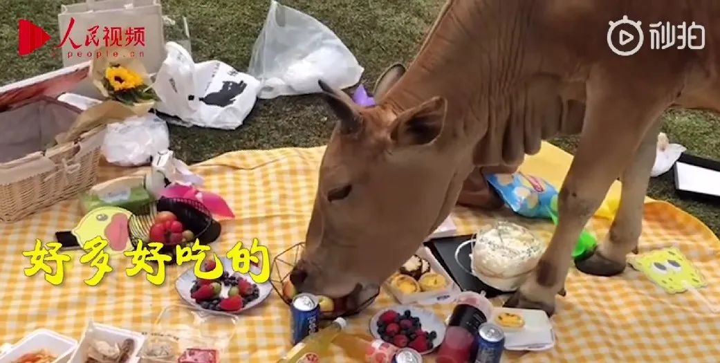 惊险！用绳索从6楼吊孙子开门，绳断被困4楼；好消息！长沙城北将新添一座湘江大桥｜早安湖南