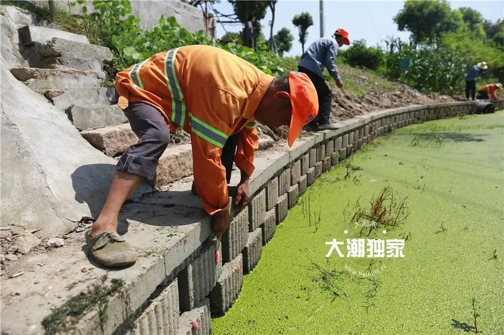 多地已出现，这种东西别误食！寄生虫多达6000条，严重可致死