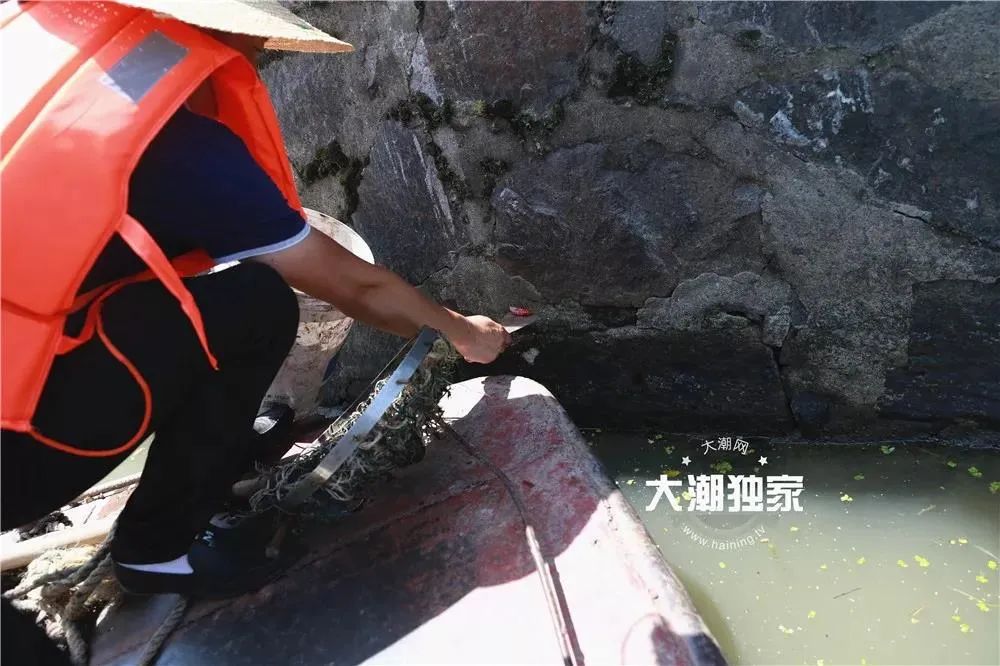 多地已出现，这种东西别误食！寄生虫多达6000条，严重可致死