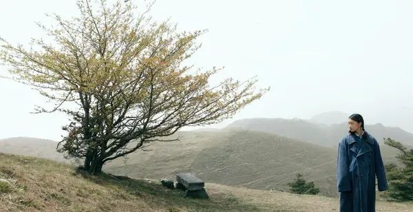 山楂树之恋小说好看吗（山楂树之恋剧情讲解）