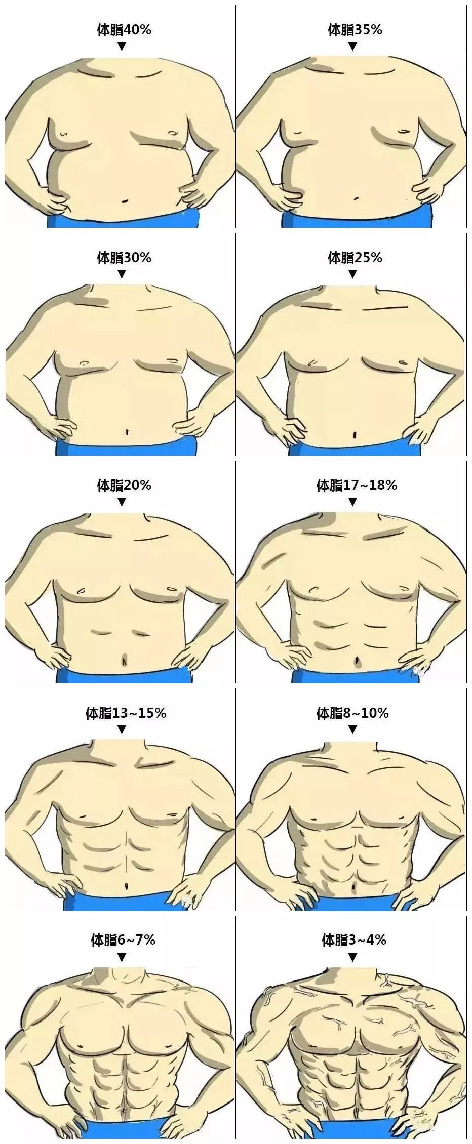 ▼不同体脂时的身材肌肉量差不多一般来说,男生体脂15%会开始有腹肌