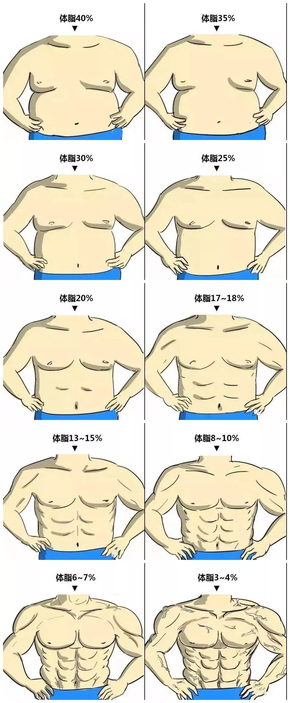 男性正常体脂图片