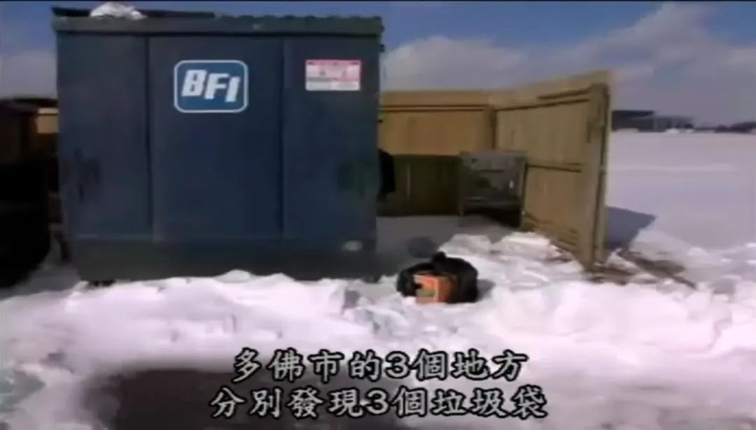 猫和老鼠解密：灵异事件背后的真相探索