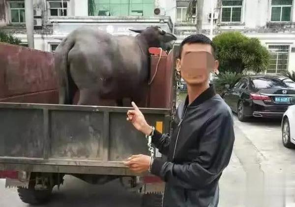 忠诚守望平安 构建和谐万宁——万宁市公安局严打整治侧记