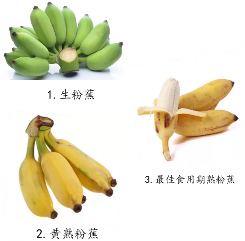 香蕉的种类（一文教你各种种类的香蕉怎么挑）