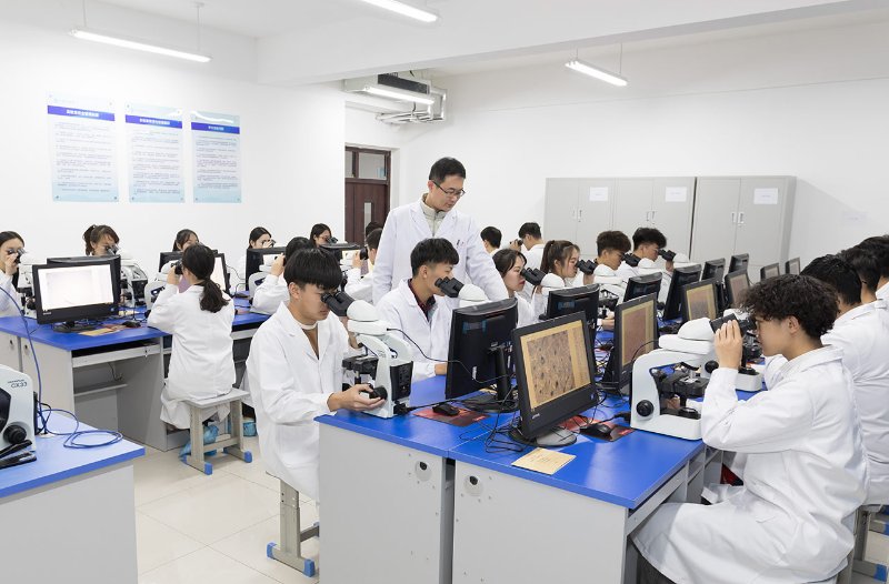 专业解码｜齐鲁医药学院临床医学院——理析百病 德能双修