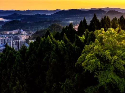 【创建天府旅游名县】这么美的仪陇你见过吗？